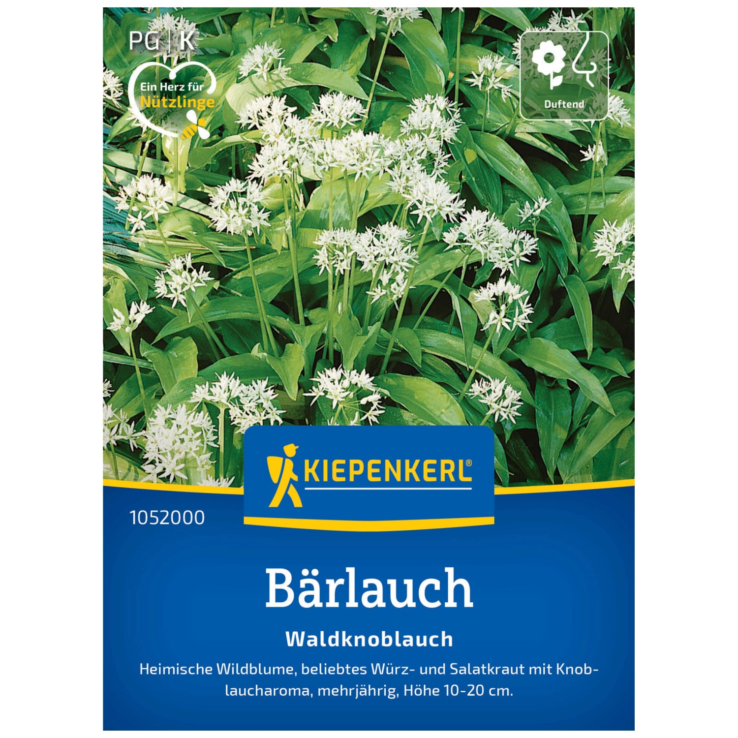 Kiepenkerl Saatgut Bärlauch Waldknoblauch kaufen bei OBI