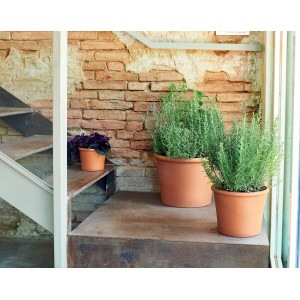 Vaso per piante cilindrico Bordato Deroma rosso (38 cm) in terracotta con piante davanti a un muro di mattoni.