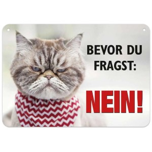 Panneau en métal avec chat et la phrase : Avant que tu demandes : Non !