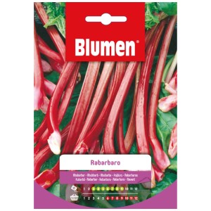 Sachet de graines de rhubarbe Mauser, graines potagères pour le jardin.