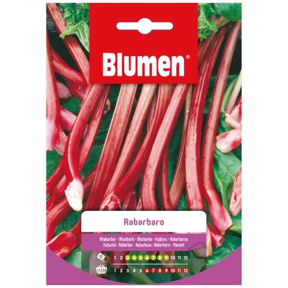 Samen Mauser Semences de légumes rhubarbe