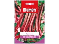 Samen Mauser Gemüsesamen Rhabarber