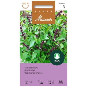 Semi di basilico thailandese bio: foglie verde scuro e steli viola. Sapore esotico di basilico con note di anice.