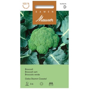 Paquet de graines de brocoli Geba Stamm Coastal : Tête de brocoli verte avec feuilles.