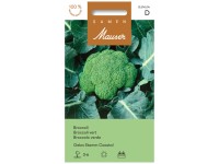 Broccoli Geba Stamm Coastal