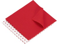 Spül- und Haushaltstuch Vlies 2 Stk.