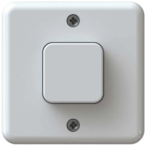 Interrupteur à bouton-poussoir AP S3 blanc pour montage mural, 10A, 250V.