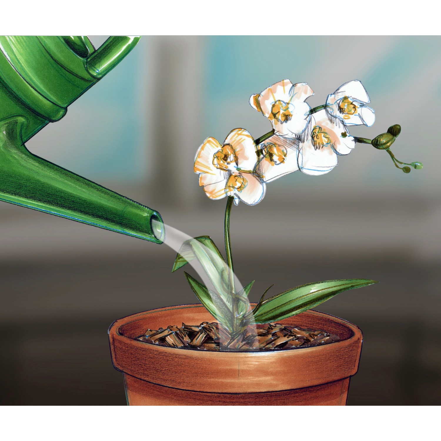 OBI Concime per orchidee 250 ml