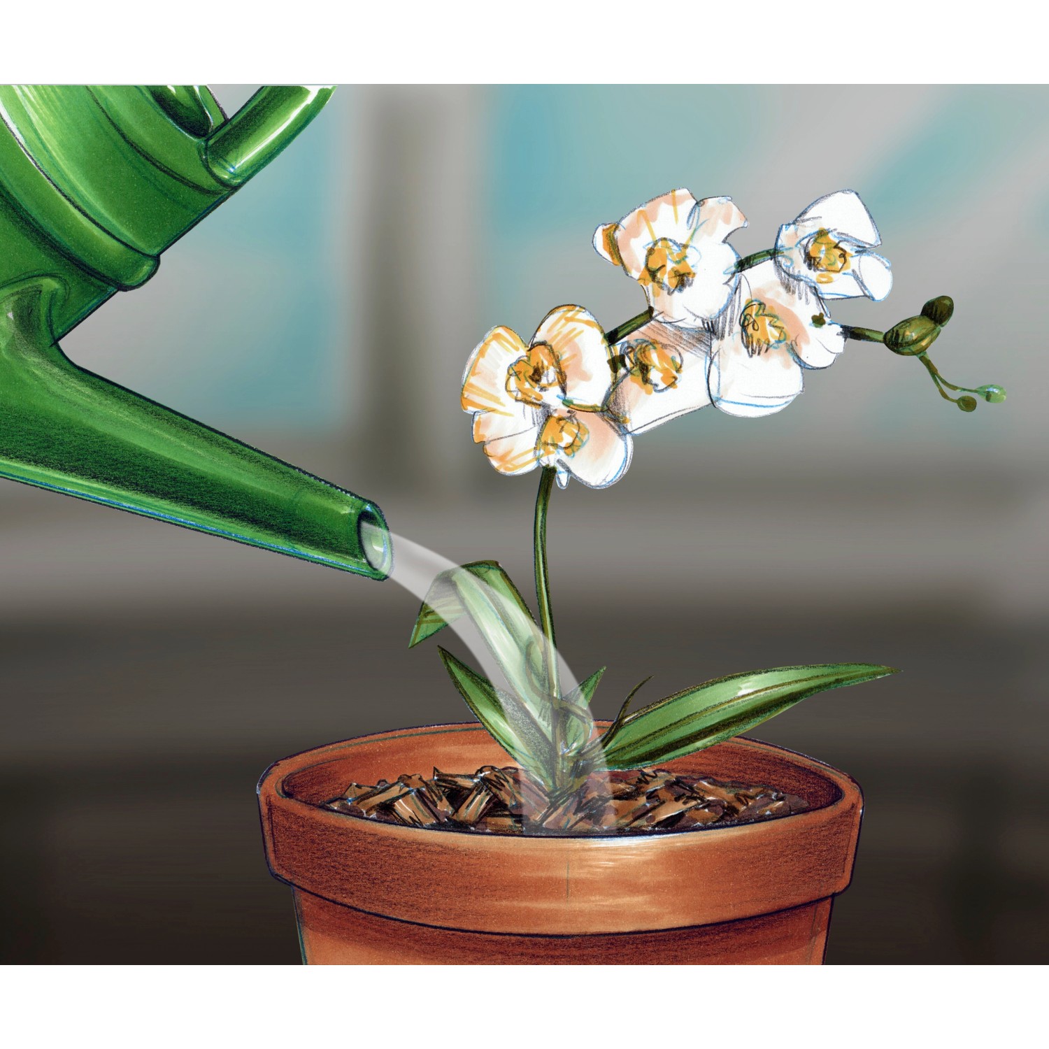 Terriccio OBI per orchidee 5 l (0)