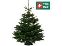 Nordmanntanne Schweiz gesägt Dunkelgrün / Höhe 150 - 175 cm