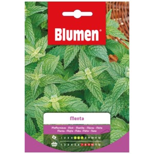 Sachet de graines d'herbes aromatiques Mauser menthe poivrée avec des feuilles de menthe verte fraîche.