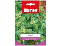 Samen Mauser Kräutersamen Pfefferminze