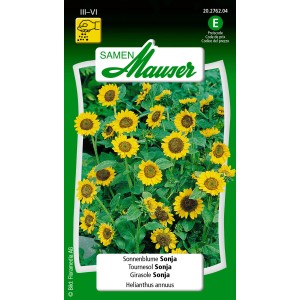 Sachet de graines de tournesol Sonja avec des pétales orange doré et un centre foncé.