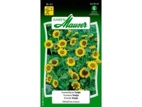 Tournesol Sonja