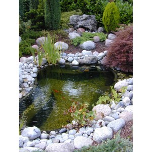 Laghetto prefabbricato Ubbink Calmus SII in giardino, decorato con pietre e piante.