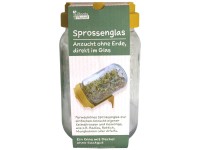 Plants Planet Sprossenglas mit Deckel Currygrün