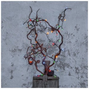 Guirlande lumineuse LED Star Trading avec lumières multicolores sur une branche décorative, idéale pour l'intérieur et l'extérieur.