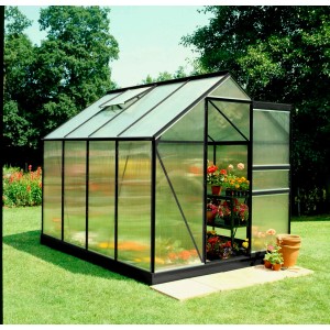 Serra Halls Popular 86 nera, 5 m², con piante in giardino.