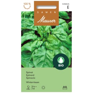 Sachet de graines d'épinards Winterriesen : Épinards résistants pour les récoltes de printemps et d'automne.