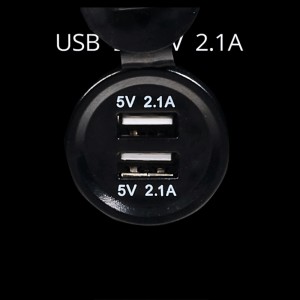 Gros plan : Deux ports USB (5 V 2,1 A) sur le groupe électrogène Einhell TC-IG 2000.