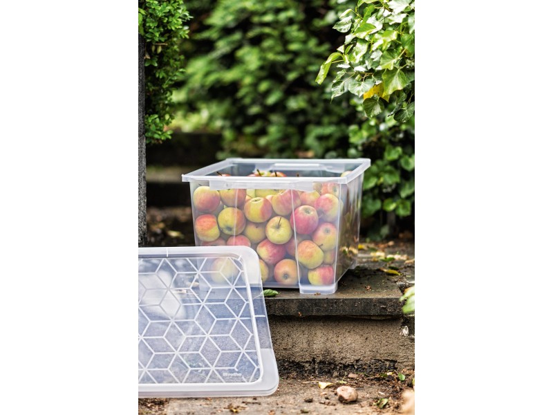 Kisten Zusammenklappbar Aufbewahrungsbox Obst Lebensmittel