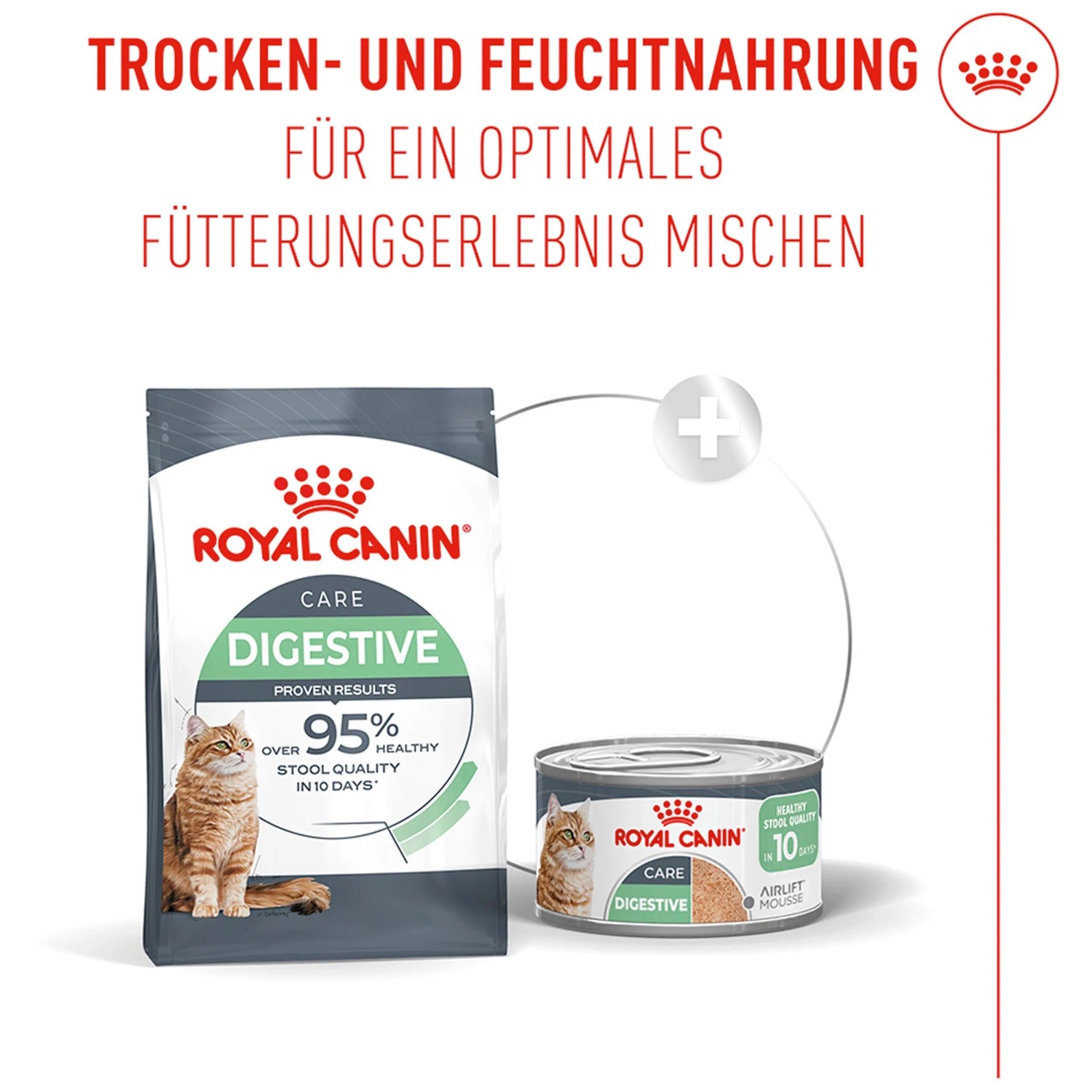 Luxus Royal Canin Katze Ebenbild