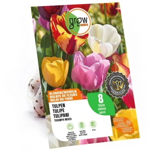GROW by OBI Mix Tulipani Triumph, 8 bulbi. Assortimento colorato in rosso, giallo, rosa, bianco per il giardino.