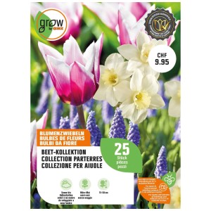 GROW by OBI collezione aiuola fiorita: Mix di tulipani, narcisi e giacinti a grappolo, 25 pz.