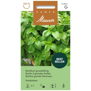 Plaque de semis basilic à grandes feuilles Mauser, idéal pour le jardin d'herbes.
