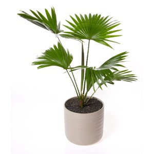 Seramis Topper Dark Shadow, 1 l, per la copertura decorativa di vasi da fiori in colore naturale scuro.
