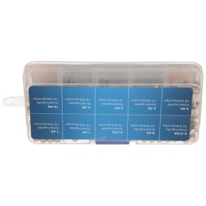 Set di fusibili rapidi, 5x20 mm, vari amperaggi in scatola trasparente.