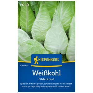 Graines de chou blanc Filderkraut Kiepenkerl, 50 plants pour la culture à domicile.