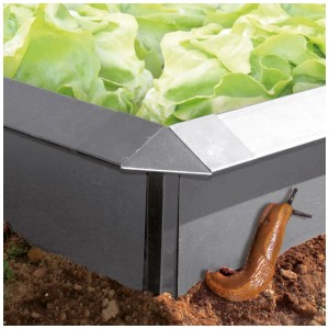 Coin pour protection anti-limaces Bellissa en acier galvanisé, 20x7x7 cm, avec laitue et limace.