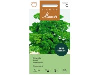 Petersilie Paramount