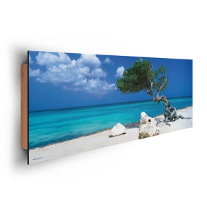Pannello decorativo con albero Divi Divi sulla spiaggia, mare e cielo blu. Quadro da parete per soggiorno.