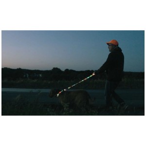Person führt Hund mit leuchtender LED-Leuchtleine Glow Guard bei Dunkelheit. Erhöht Sichtbarkeit und Sicherheit beim Spaziergang.