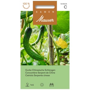 Sachet de graines de concombre serpent chinois, longs concombres verts sur treillis.