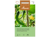 Gurke Chinesische Schlange