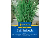 Kiepenkerl Schnittlauch Staro