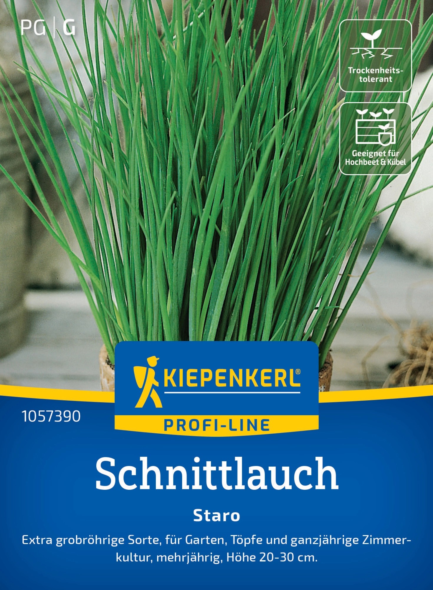 Kiepenkerl Schnittlauch Staro kaufen bei OBI