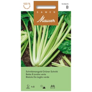 Paquet de graines de bette à couper verte, légume feuille pour le jardin.