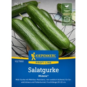 Concombre Kiepenkerl Midele F1-Hybride, concombres verts et allongés dans un panier.