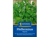 Kiepenkerl Pfefferminze Piperita