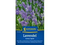 Kiepenkerl Lavendel Echter Speik