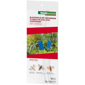 Trappole blu Windhager contro tripidi, confezione da 10 per il controllo dei parassiti.