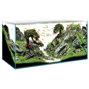 Aquarium Oase ScaperLine 100, 250 l, avec design aquascape et poissons.