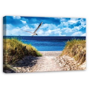 Leinwandbild: Möwe fliegt über sandigen Dünenweg zum blauen Meer. Heller Himmel, Strand. Holz-Keilrahmen 30x45 cm.