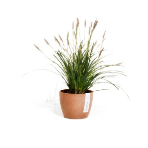 Pot de fleurs Ecopots Stockholm Terra, Ø 16cm, avec plante verte.