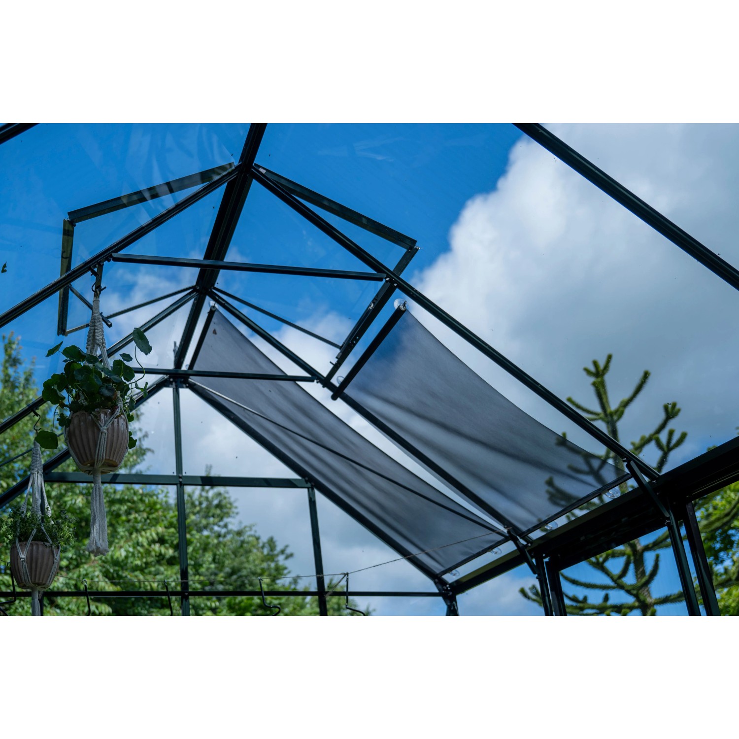 Glasgefss Mit Hals
