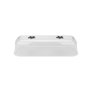 Elho Green Basics Grow House L, mini serra trasparente per la propagazione delle piante.